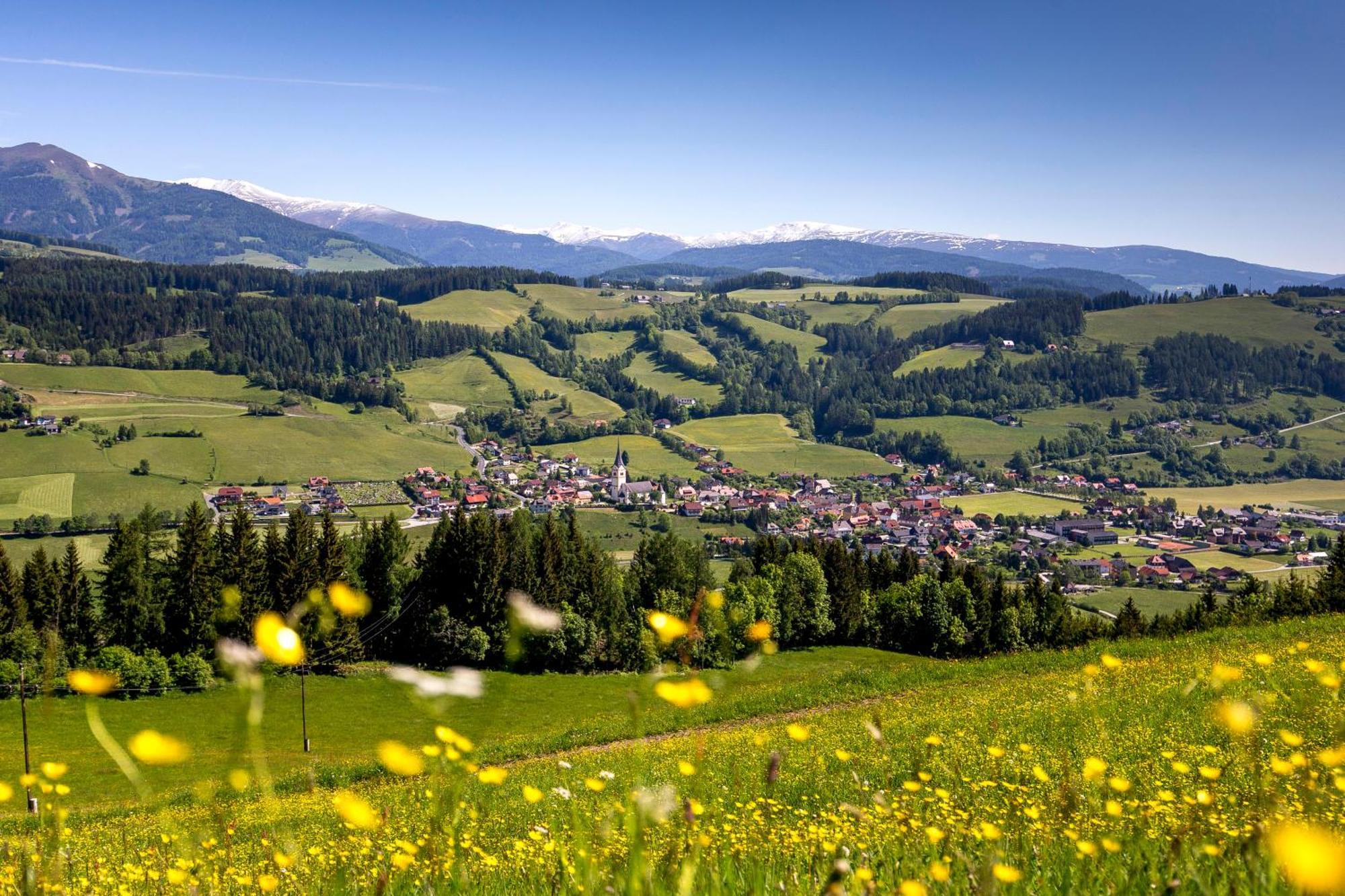 Naturpark Chalets Lambrecht By Alps Resorts Sankt Lambrecht Kültér fotó